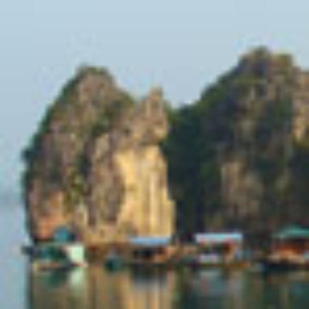 Black Gold Restaurant